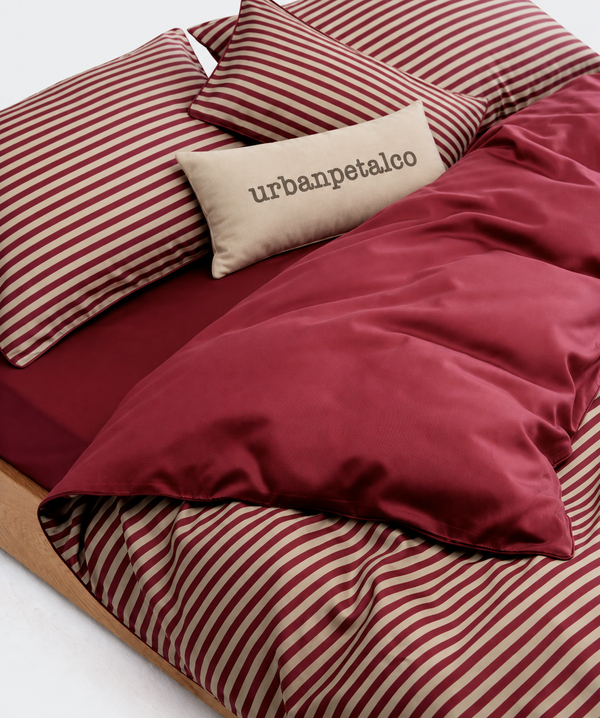 Soft Stripe Tencel Cotton Brushed Bedding Set
